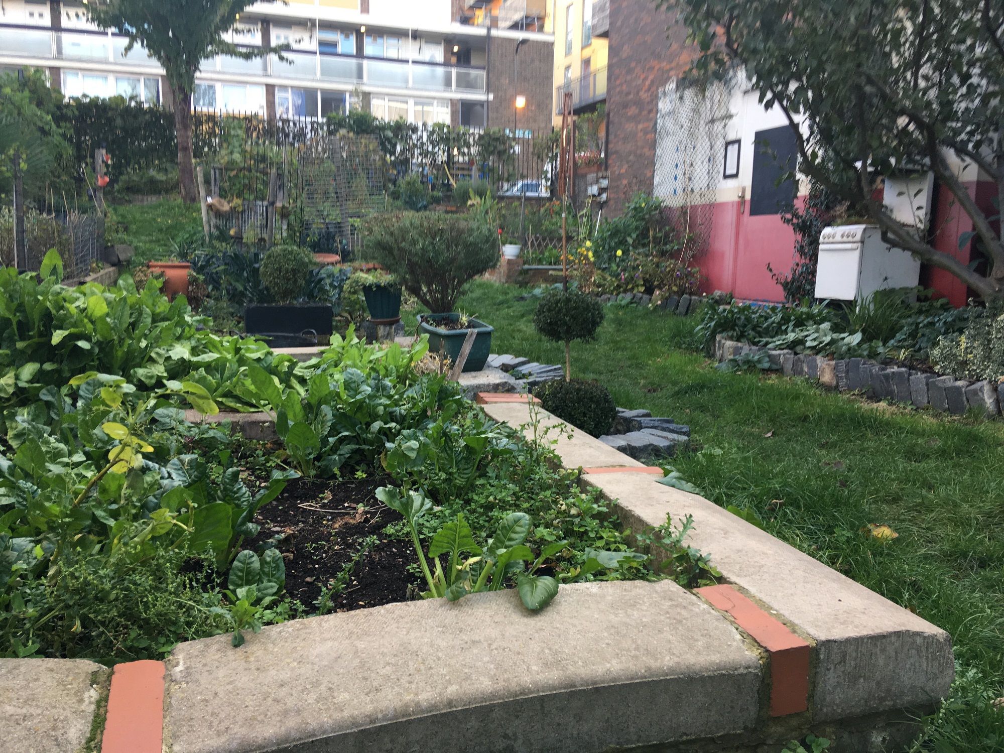 The Growing Kitchen